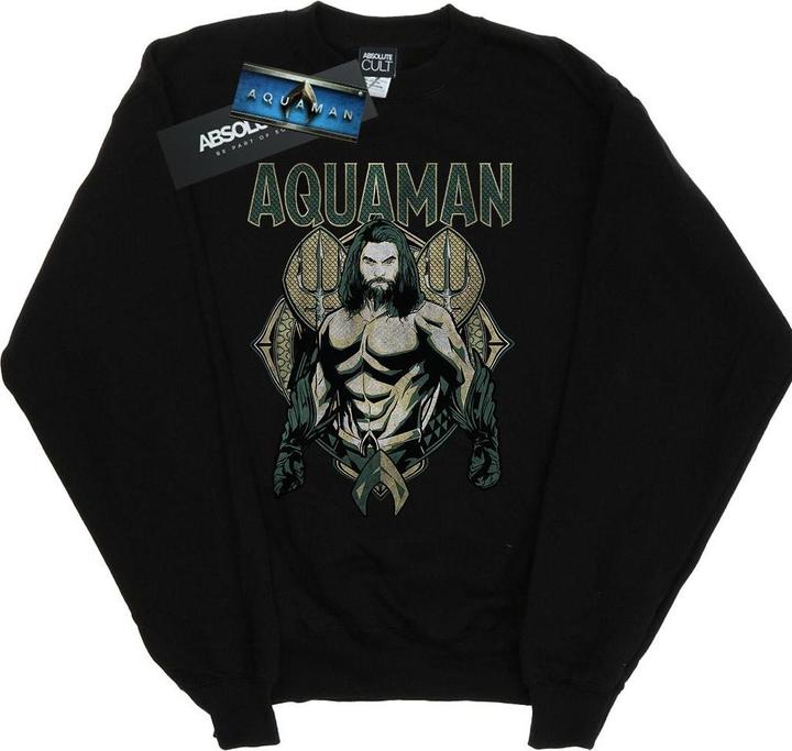 Produktbild Aquaman Scales Sweatshirt Jungen (152, 158)