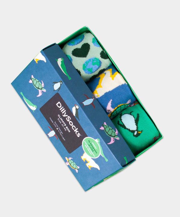 DillySocks Climate Box (Einzelpack, 36 - 40)