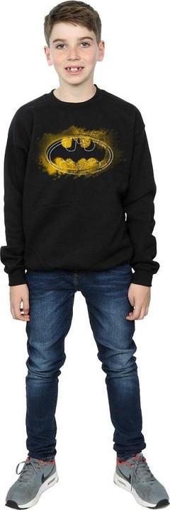 Actual product image Boys Batman Spray Logo Sweatshirt (128)