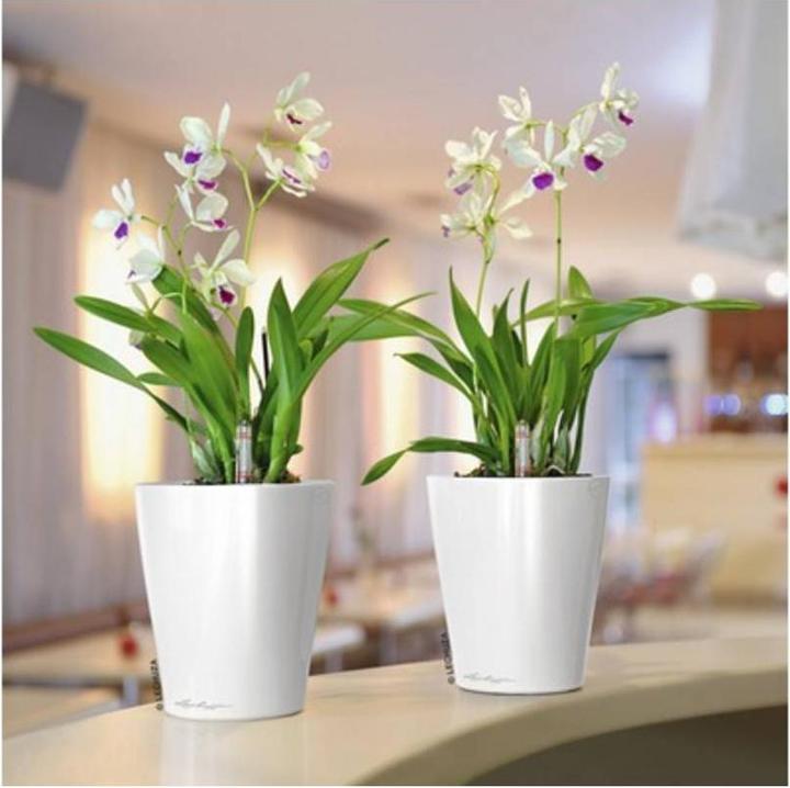 Produktbild Lechuza Mini Deltini (10 cm)