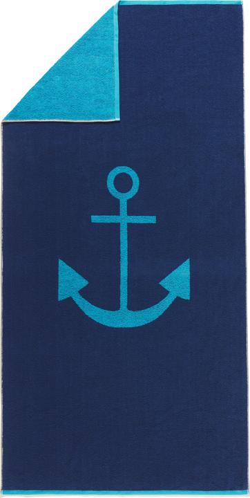 navy-turquoise