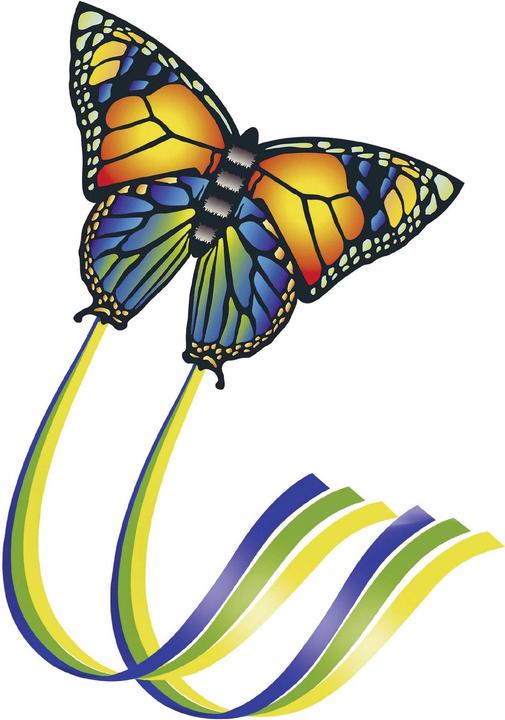 Actual product image Günther Flugspiele Single line kite Butterfly