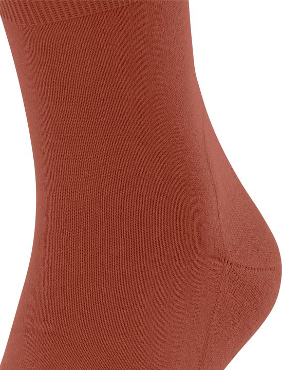 Produktbild Falke Run Unisex (35 - 36)