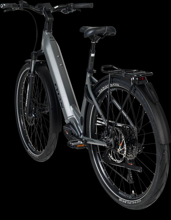 Actual product image Cylan Sprint Low (46 cm)