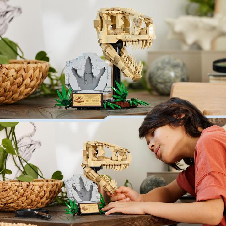 Immagine prodotto LEGO 76964 Riservato (76964, LEGO Jurassic World)