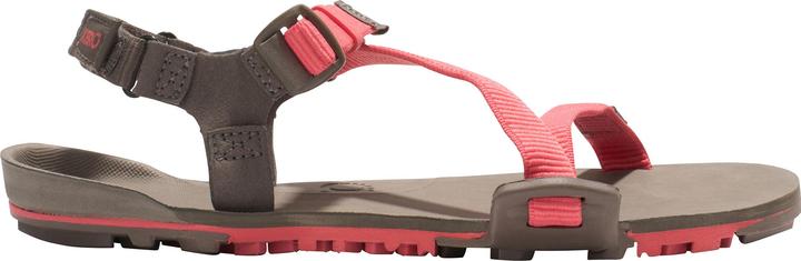 Xero Shoes Z-Trail EV