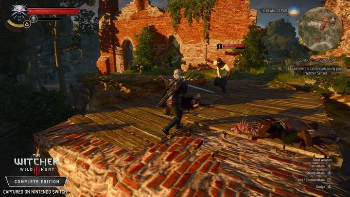 Image du produit Bandai Namco The Witcher 3 : Wild Hunt (Switch, DE)
