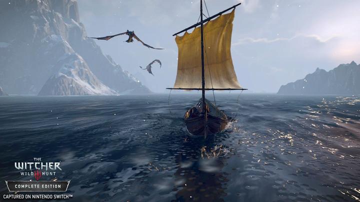 Image du produit Bandai Namco The Witcher 3 : Wild Hunt (Switch, DE)