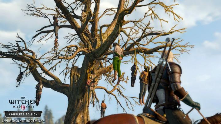 Image du produit Bandai Namco The Witcher 3 : Wild Hunt (Switch, DE)