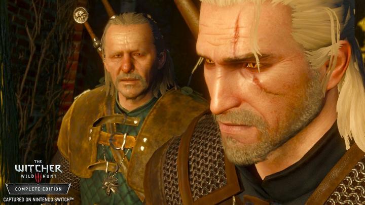 Image du produit Bandai Namco The Witcher 3 : Wild Hunt (Switch, DE)