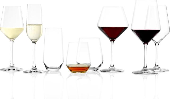 Actual product image Stölzle Revolution Power red wine goblet 490ml h:225mm (49 cl, 1 Glasses, Red wine glasses)
