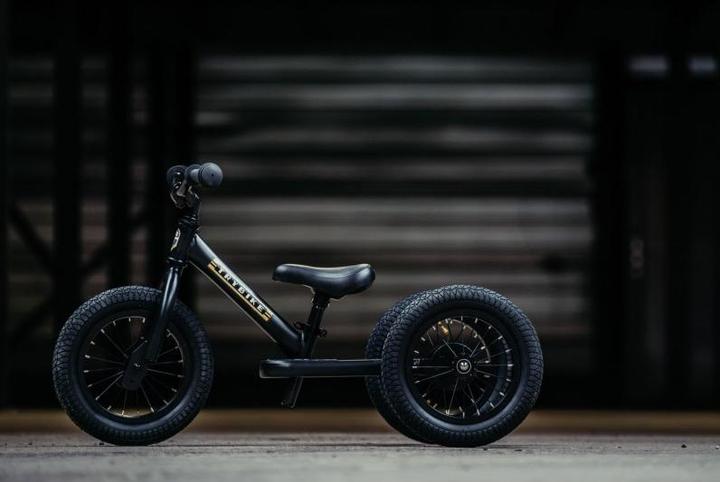 Image du produit Trybike Vélo en acier (9.65")