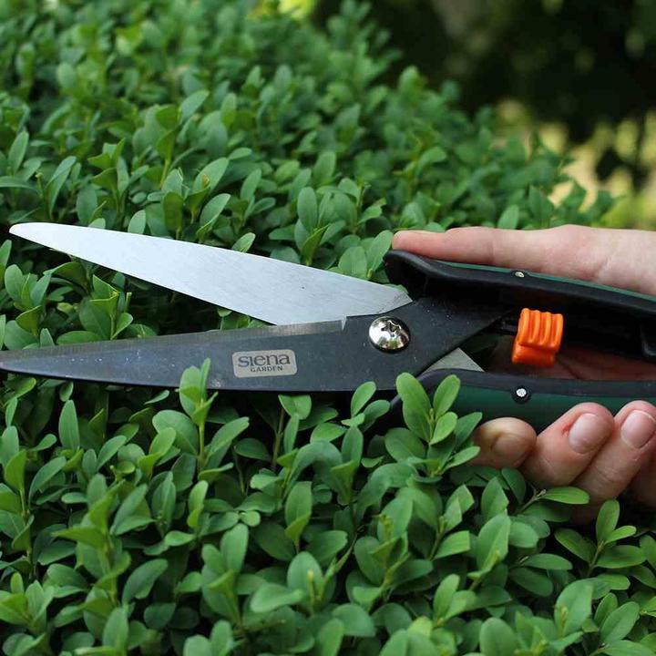 Produktbild Siena Garden Buchsbaumschere