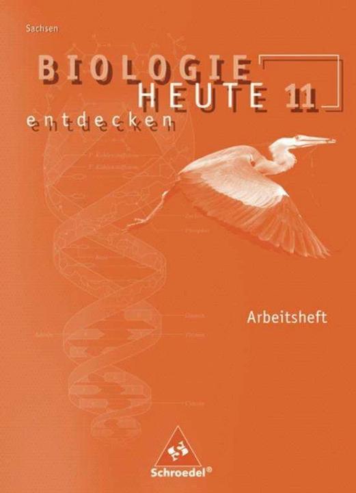 Actual product image Biologie heute entdecken 11. Arbeitsheft. Sekundarstufe 2. Sachsen (German, Antje Starke, 2008)