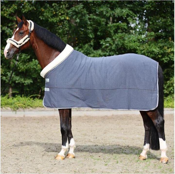 Produktbild Kavalkade Elegance (155 cm)