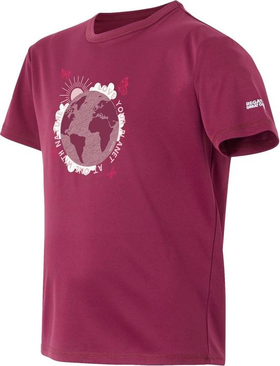 Produktbild Regatta Alvarado IX TShirt (128)