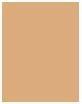 Actual product image Shiseido Synchro Skin Radiant Lifting (340 Oak)