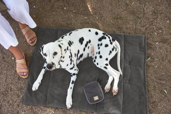 Actual product image Palopa Dog mat Alma anthracite M-L (Dog)