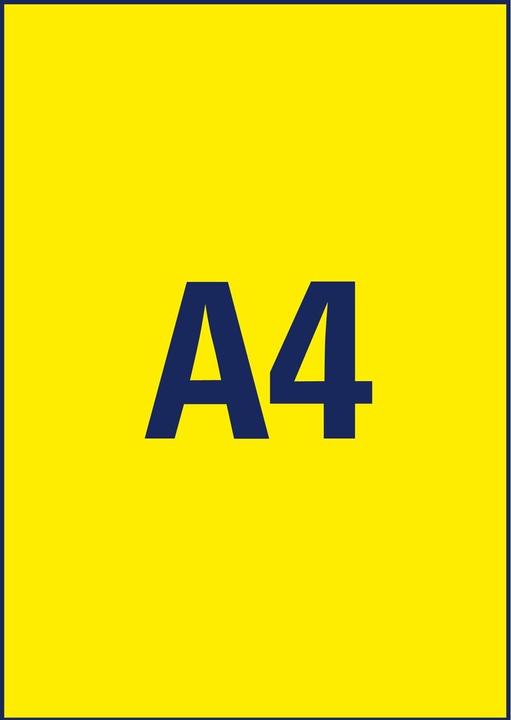 Actual product image Avery Labels in special colours