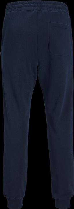 Actual product image Jack & Jones Gordon Bradley Sweatpants (L)