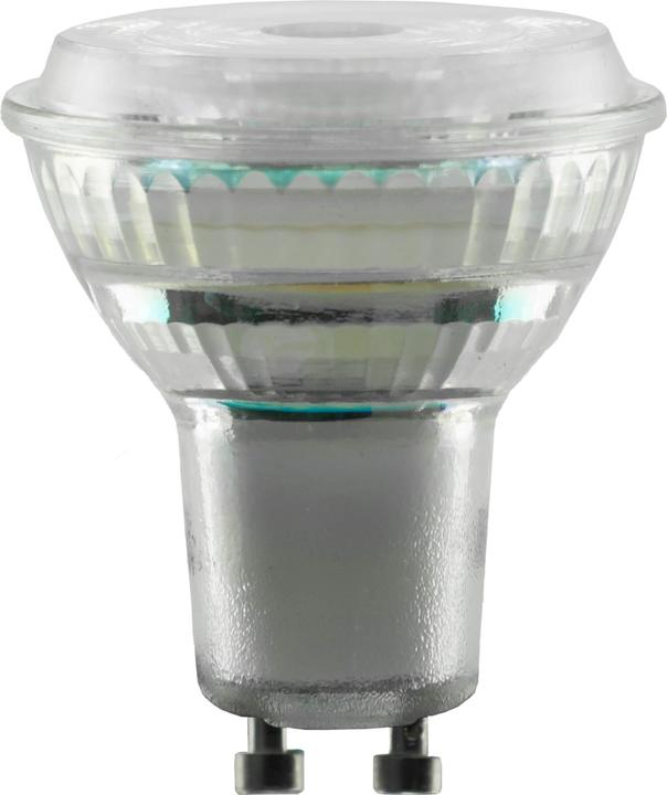 Produktbild Segula LED Reflektor GU10 5,2W 10° dimmbar 2700K (GU10, 5.20 W, 345 lm, 1 x, G)