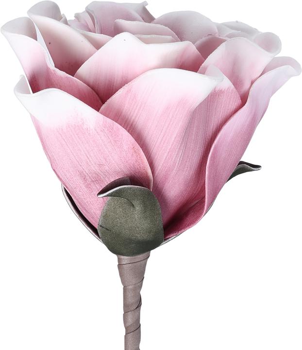 Actual product image EGLO LIVING Molave (65 cm)
