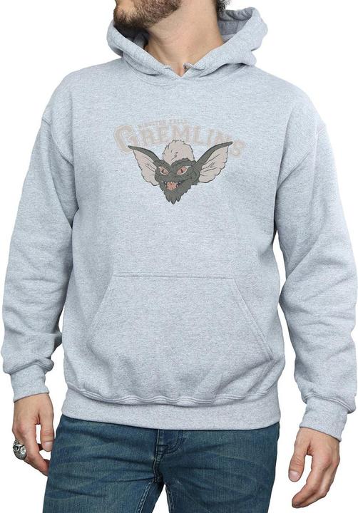 Produktbild Universal Textiles Kingston Falls Sport Kapuzenpullover (L)