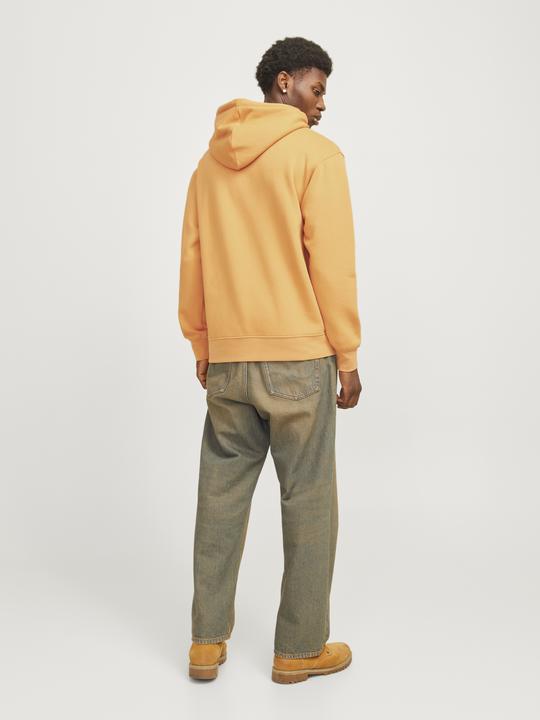 Immagine prodotto Jack & Jones Jorvesterbro Sweat Hood Noos (XXS)