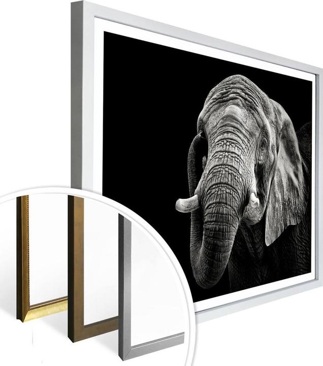 Immagine prodotto Trenddeko L'elefante (50 x 40 cm)