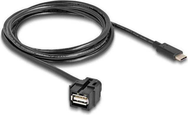 Image du produit Delock Keystone Module USB 2.0 A femelle vers USB Type-C mâle 250 (1.50 m, USB 2.0)