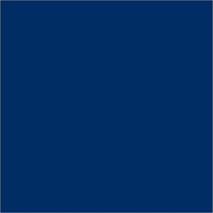 Actual product image Talens Ecola (Prussian blue, 500 ml)