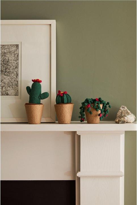 Immagine prodotto DMC Gift of Stitch Set per uncinetto Amigurumi Cactus