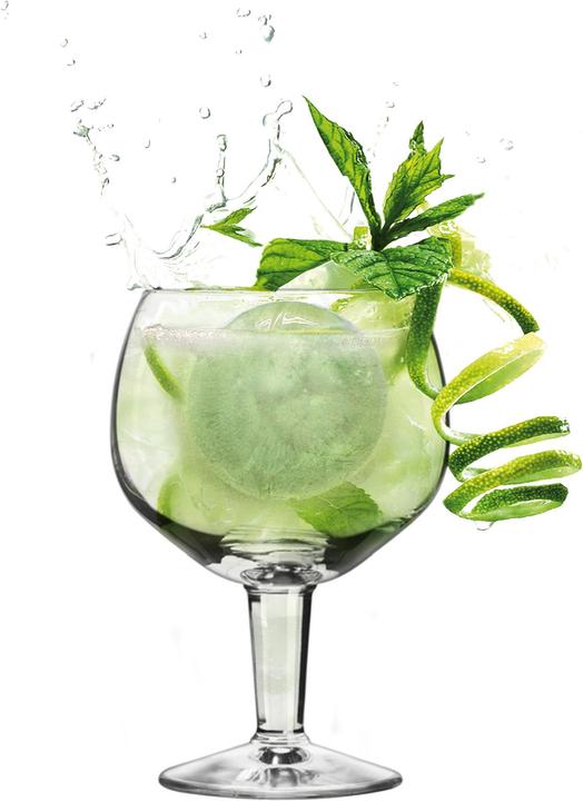 Produktbild VinBouquet Eiswürfelform