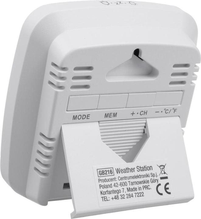 Actual product image Greenblue Pool thermometer with GB216 weather station