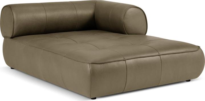 Dark olive green