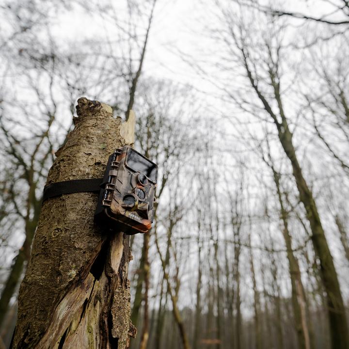 Image du produit Caruba Caméra sauvage Moose 4K