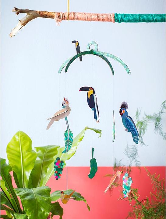 Image du produit Studio Roof oiseaux exotiques