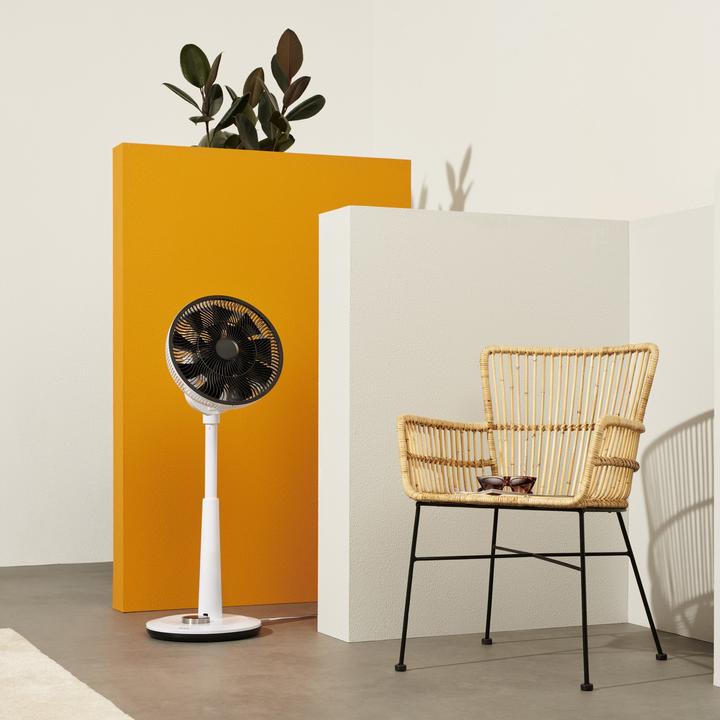 Actual product image Duux Whisper (50 dB)