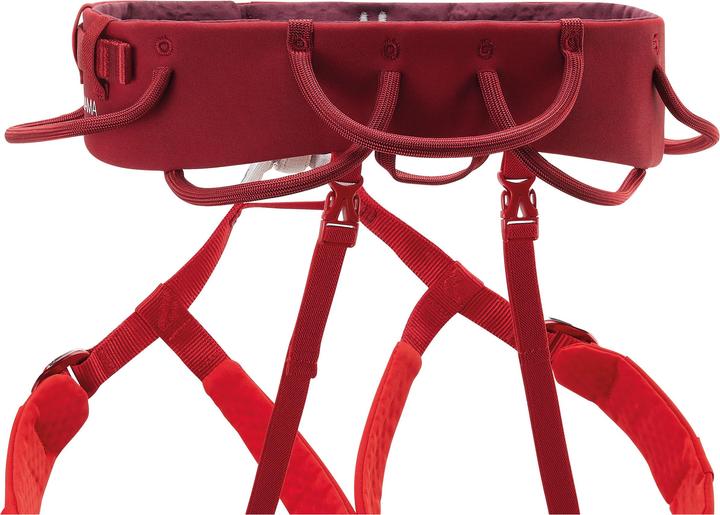 Actual product image Petzl Adjama (L)