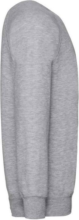 Actual product image Russell Mens Raglan Sweatshirt (M)