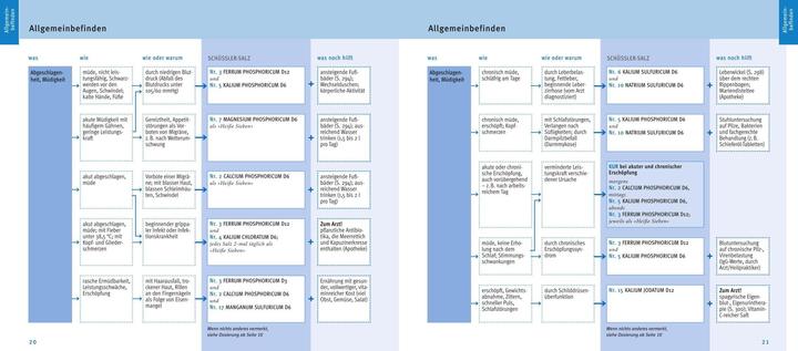 Produktbild Maxi-Quickfinder Schüssler-Salze (Deutsch, Günther H. Heepen, 2015)