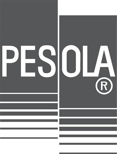 Actual product image Pesola Spring balance