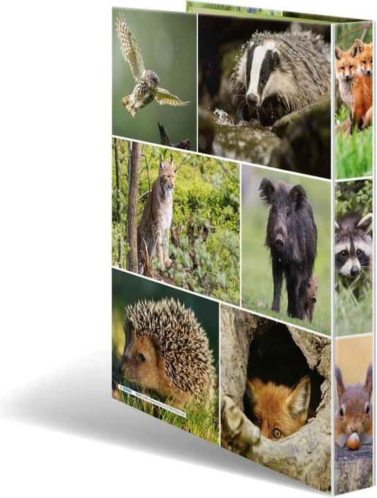 Actual product image Herma A4 ring binder motif (A4, 35 mm, 1 Piece)