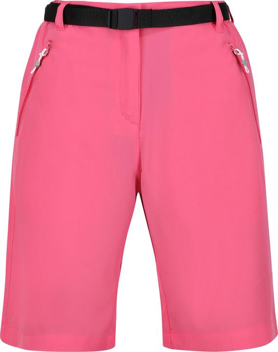 Actual product image Regatta Womens/Ladies Xert Stretch Shorts (34)
