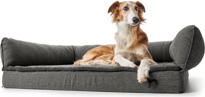 Immagine prodotto Hunter Livingston (Cane)