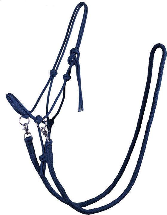 Actual product image Qhp Knotted halter with reins