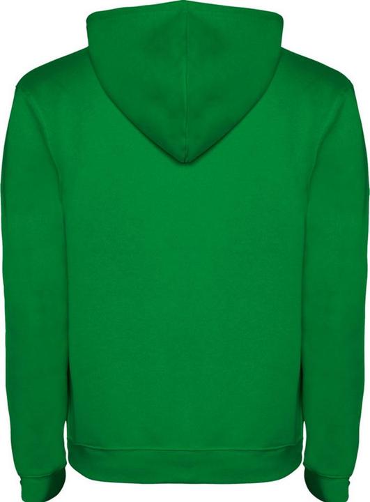 Actual product image Alpinia Childrens/Kids Urban Drawstring Hoodie (140)