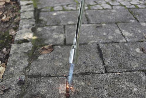 Immagine prodotto CFH Diserbatore Bio-Gärtner PZ7000 Deluxe