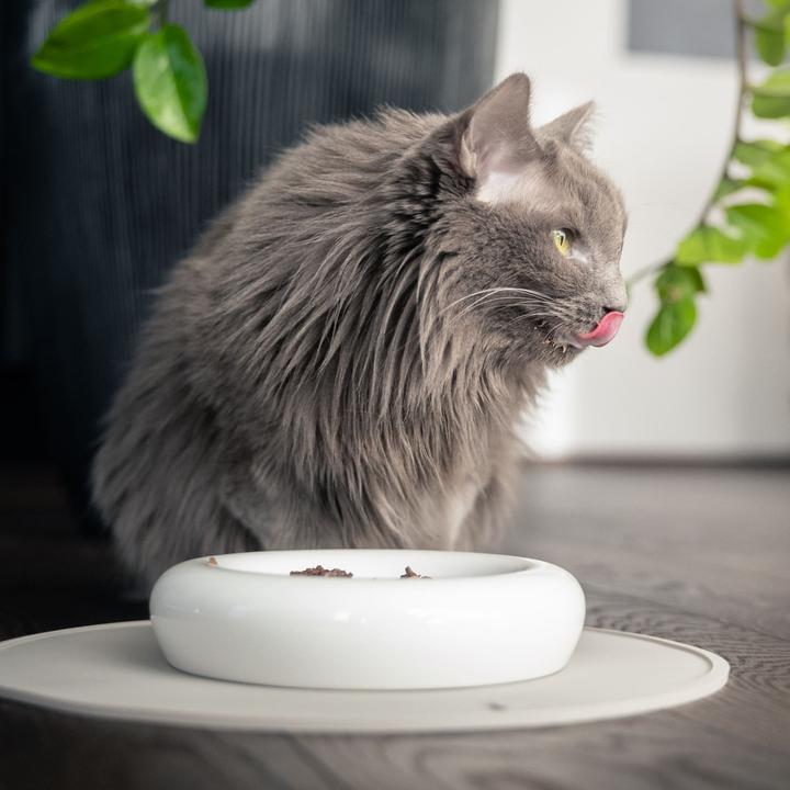 Actual product image LucyBalu DROP Katzennapf
