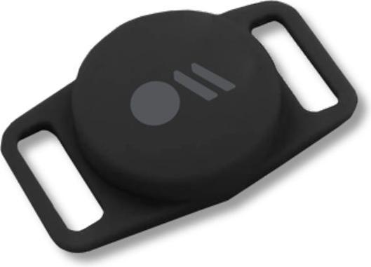 Actual product image Case-Mate AirTag Dog Collar Mount